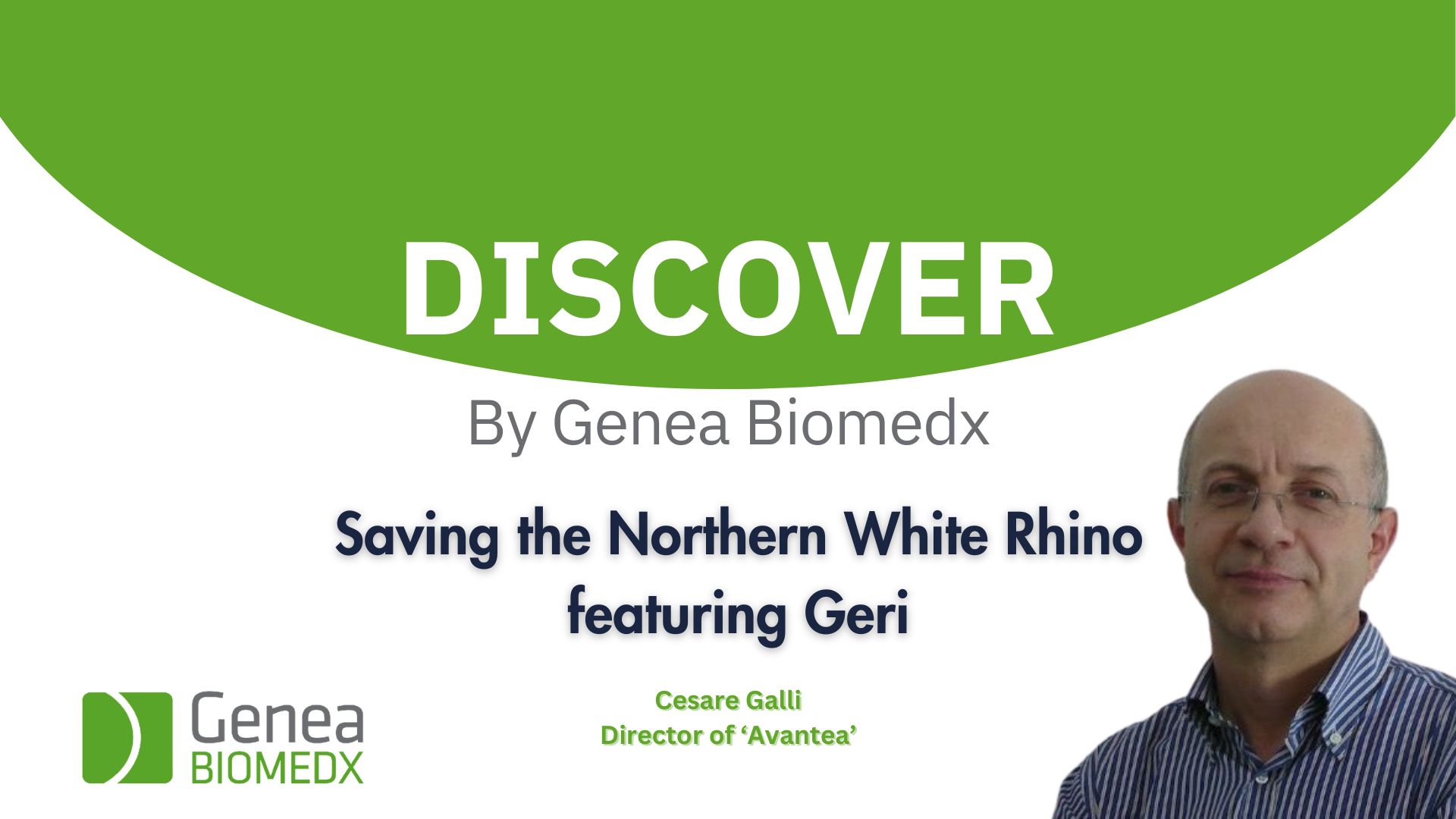 Saving the Northern White Rhino with Dr. Cesare Galli